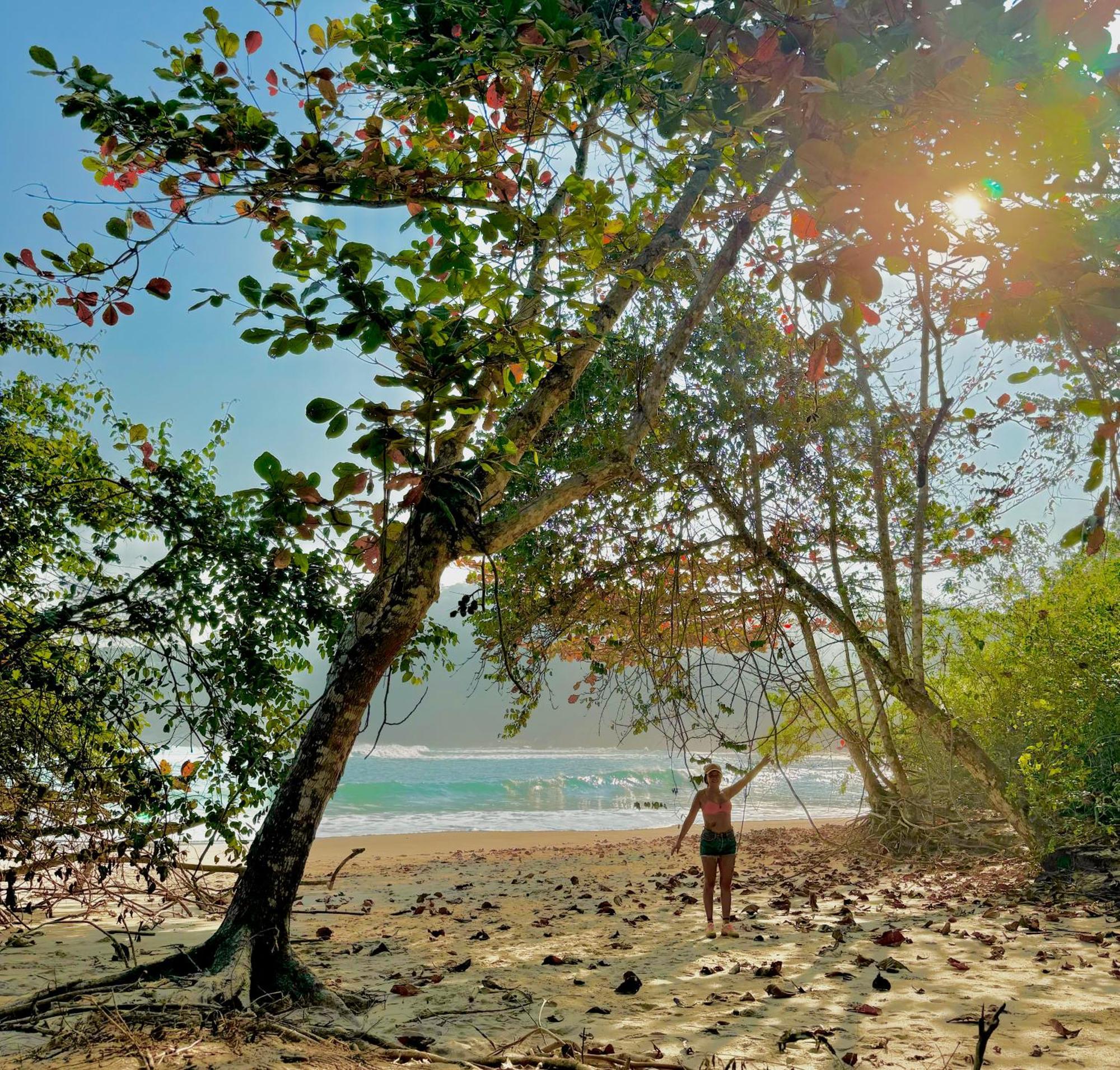Flora Praia Do Sono Lodge & Trekking 帕拉蒂 外观 照片